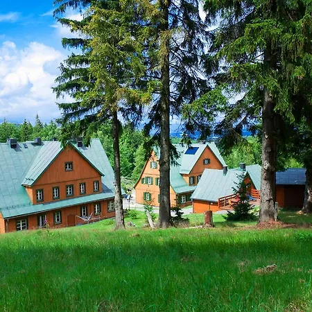 Chybotek Premium Przesieka