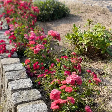 Chybotek Premium Przesieka