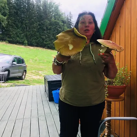 Chybotek Premium Pensión Przesieka