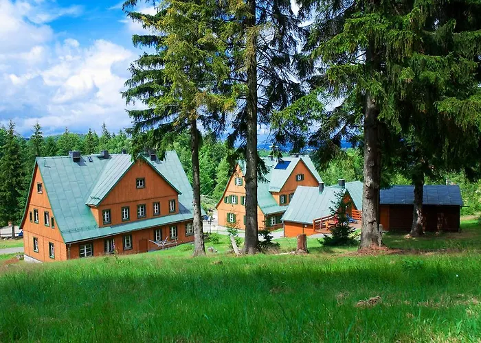 Chybotek Premium Przesieka