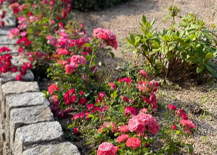 Chybotek Premium Przesieka